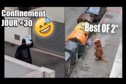 #confinement Les vidéos drôles du confinement ! Jour+30
