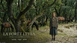 image_base64_698997e07c5d6