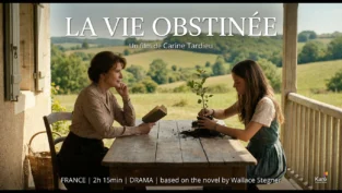 image_base64_69899b7e1a847