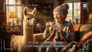 image_base64_69e32bb489b3a